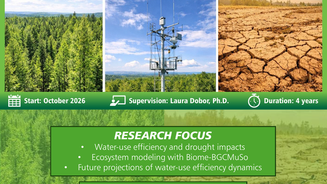 Open PhD position: Drought effects on forest carbon-water trade-offs
